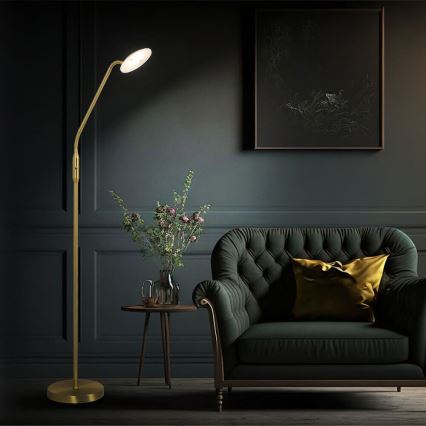 Wofi 3446.01.32.7000 - Lampadaire à intensité variable LED ORTA LED/12W/230V laiton