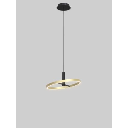 Wofi 6016-104L - Suspension LED dimmable sur câble BREST LED/19W/230V Ø 42 cm noir/doré