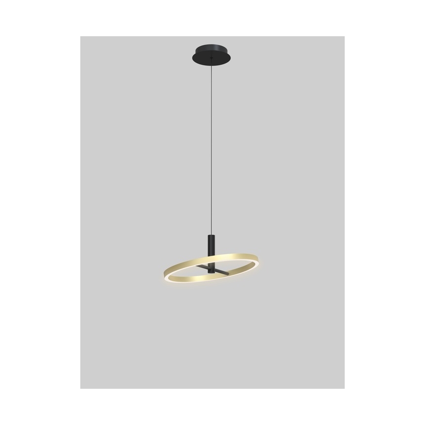Wofi 6016-104L - Suspension LED dimmable sur câble BREST LED/19W/230V Ø 42 cm noir/doré
