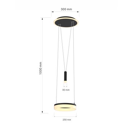 Wofi 6054-302 - Suspension filaire à intensité variable JESSE LED/15,5W/230V noir