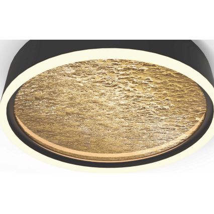 Wofi 9002-104L - Plafonnier à intensité variable LED BORDEAUX LED/60W/230V noir/doré