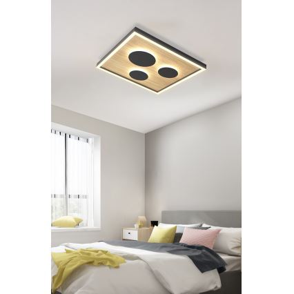 Wofi 9012-306S - Plafonnier à intensité variable DIJON LED/26W/230V