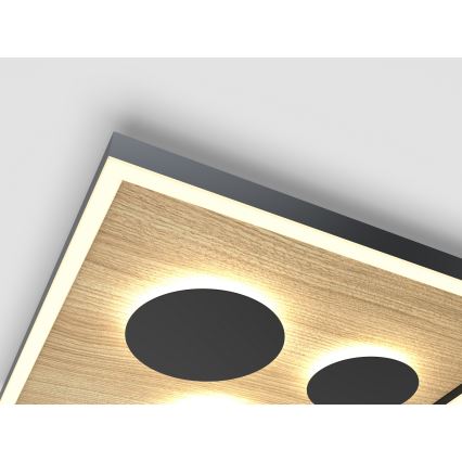 Wofi 9012-306S - Plafonnier à intensité variable DIJON LED/26W/230V