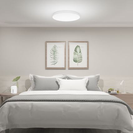 Xiaomi  - Plafonnier LED à intensité variable LED/45W/230V CRI 95 IP50 Wi-Fi/Bluetooth