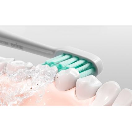 Xiaomi - Smart brosse à dents électrique T500 Bluetooth IPX7 blanche