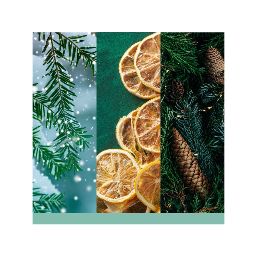 Yankee Candle - Bougie parfumée HOLIDAY WINTERFEST grande 567 g 60-90 heures