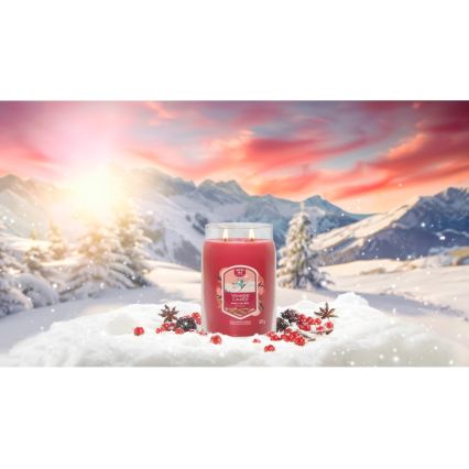 Yankee Candle - Bougie parfumée SANTA ON SKIS grande 567g 60-90 heures