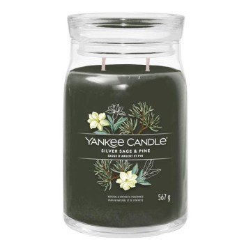 Yankee Candle - Bougie parfumée SILVER SAGE & PINE grande 567g 60-90 h.