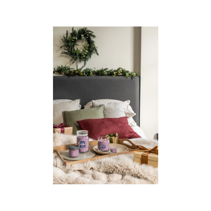 Yankee Candle - Bougie parfumée SUMMIT STARGAZING grande 567g 60-90 h