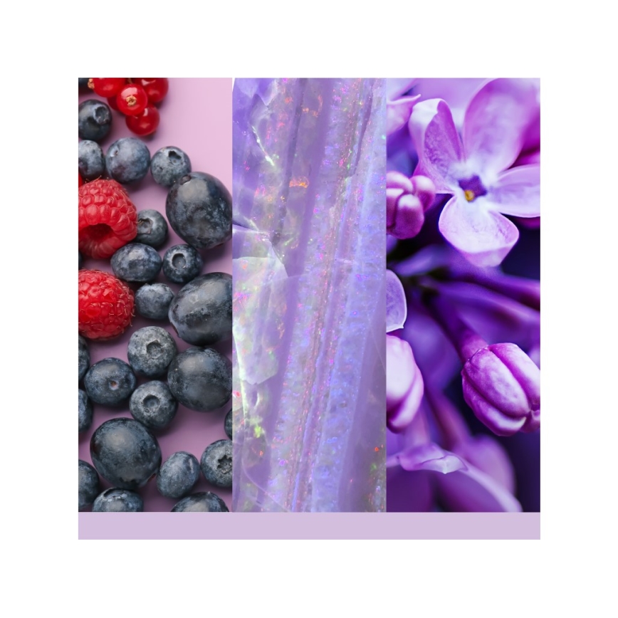 Yankee Candle - Bougie parfumée SUMMIT STARGAZING grande 567g 60-90 h