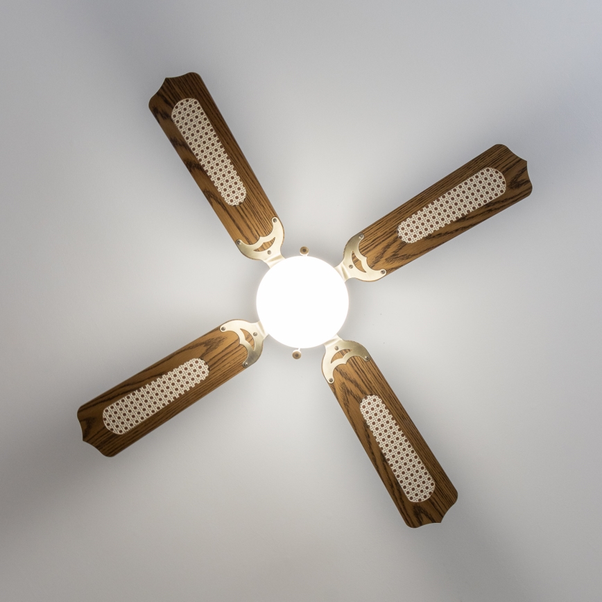 ZEVENTI - Ventilateur de plafond NAVAGIO 1xE27/60W/230V marron