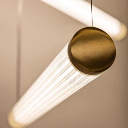 Zuma Line - Suspension LED gradable sur câbles LED/64W/230V 2700-6500K dorée + télécommande