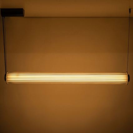 Zuma Line - Suspension LED dimmable sur câble LED/39W/230V 2700-6500K noir + télécommande