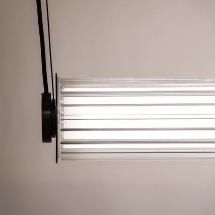 Zuma Line - Suspension LED dimmable sur câble LED/39W/230V 2700-6500K noir + télécommande