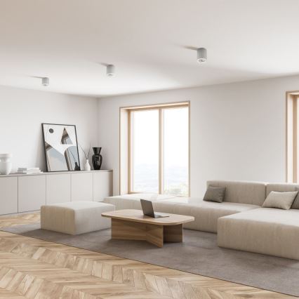 Zuma Line - Spot LED RGBW dimmable 1x GU10/6W/230V blanc + télécommande