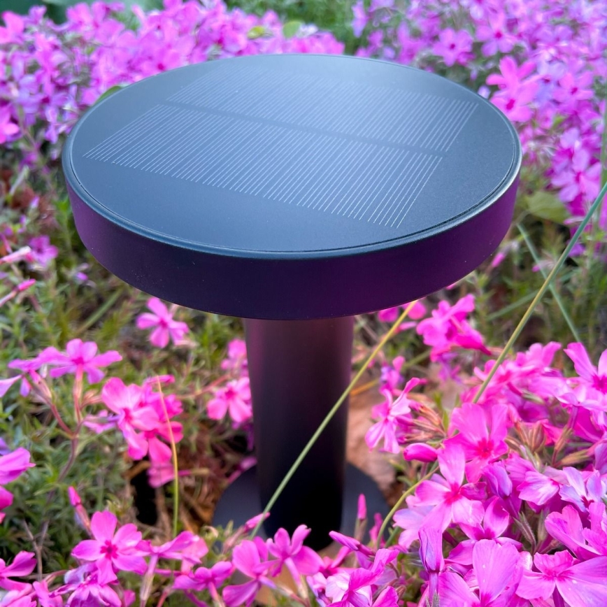 Zuma Line - Lampe de table solaire à intensité variable et rechargeable LED/2W/2000 mAh IP44 noir