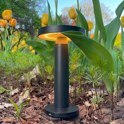 Zuma Line - Lampe de table solaire à intensité variable et rechargeable LED/2W/2000 mAh IP44 noir