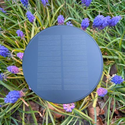 Zuma Line - Lampe de table solaire à intensité variable et rechargeable LED/2W/2000 mAh IP44 noir