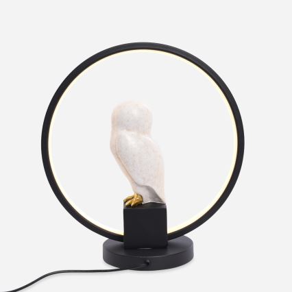 Zuma Line - Lampe de table LED/4W/5V noir/blanc