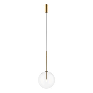 Zuma Line - Lustre sur câble 1xG4/2W/230V doré
