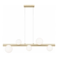 Zuma Line - Lustre sur câble 5xG9/33W/230V doré