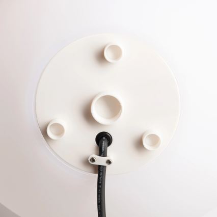 Zuma Line - Luminaire d'extérieur 1xE27/10W/230V Ø 20 cm IP44