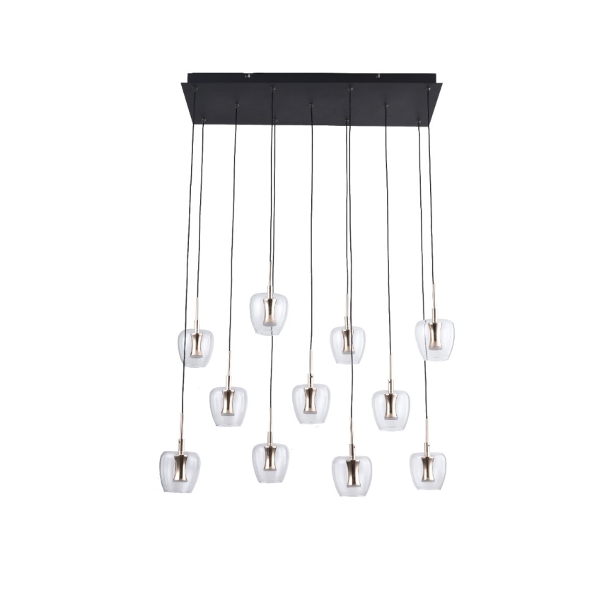 Zuma Line - Suspension LED sur câble 11xLED/3W/230V noire