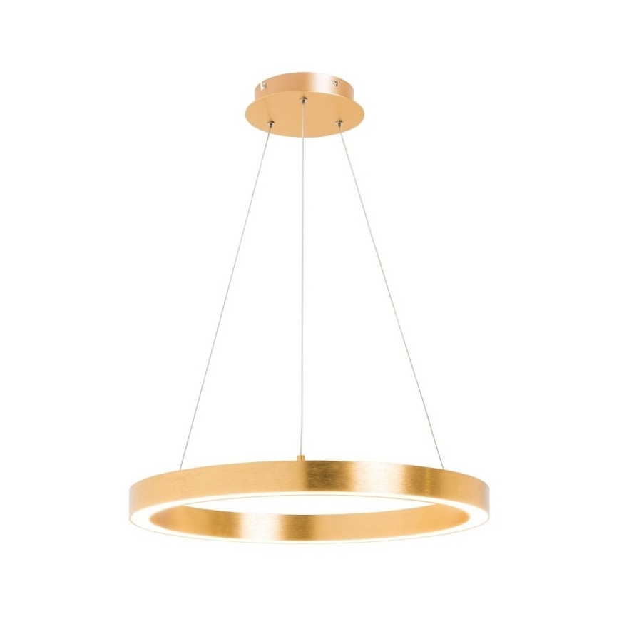 Zuma Line - Suspension filaire 1xLED/30W/230V 40 cm dorée
