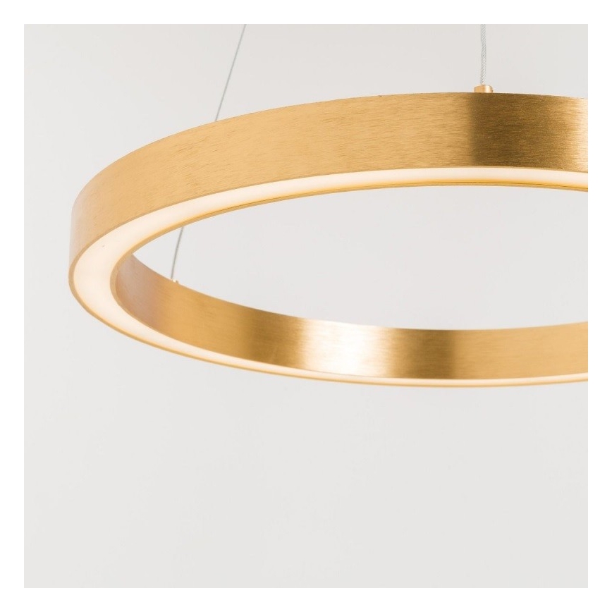 Zuma Line - Suspension filaire 1xLED/30W/230V 40 cm dorée