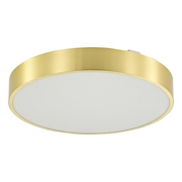 Zuma Line - Plafonnier à intensité variable salle de bain LED/36W/230V 3000-6000K d. 40 cm IP44 doré + Télécommande