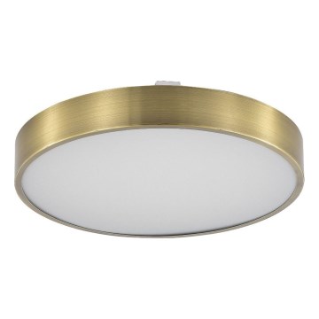 Zuma Line - Plafonnier à intensité variable salle de bain LED/50W/230V 3000-6000K d. 50 cm IP44 laiton + Télécommande