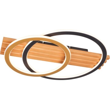 Zuma Line - Plafonnier LED/40W/230V