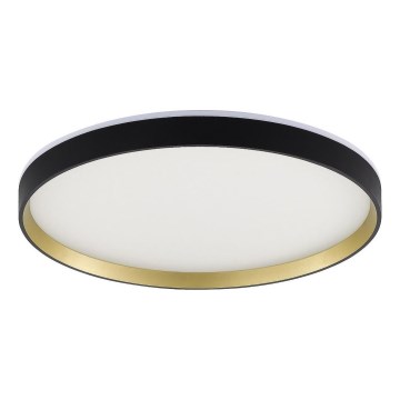 Zuma Line - Plafonnier LED RGBW dimmable LED/32W/230V + LED/8W 3000-6000K noir/or doré + télécommande