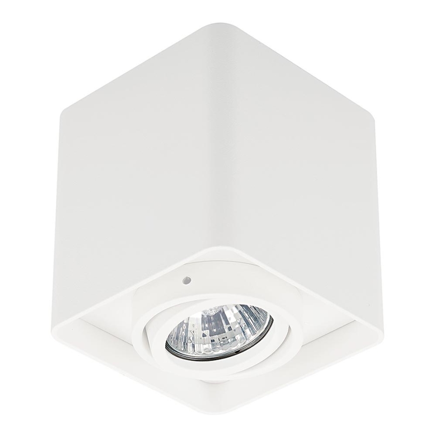 Zuma Line - Spot 1xGU10/50W/230V blanc