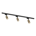 Zuma Line - Spot dans le système de rail 3xGU10/35W/230V noir/or