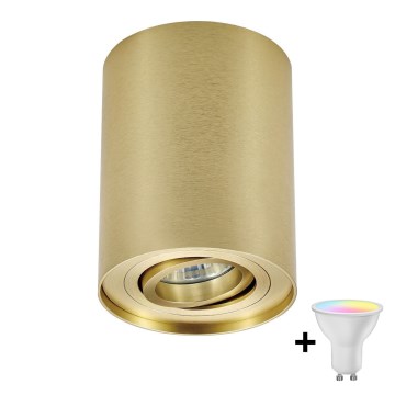 Zuma Line - Spot LED RGBW dimmable 1xGU10/4,8W/230V doré + télécommande