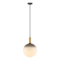 Zuma Line - Suspension sur câble 1xE27/25W/230V Ø 30 cm doré/noir